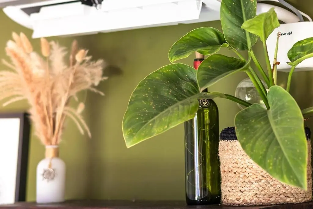 Apartamentos Turisticos - Boho Sai San Andres