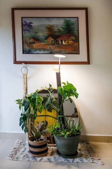 Apartamentos Turisticos - Boho Sai San Andres  San Andres (San Andres and Providencia Islands)