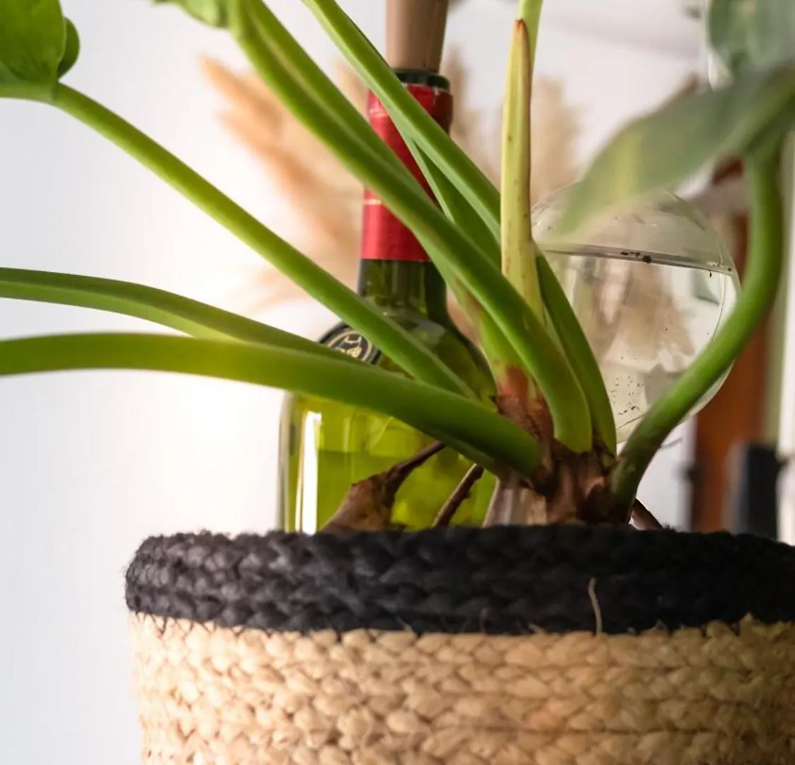 דירה San Andrés Apartamentos Turisticos - Boho Sai