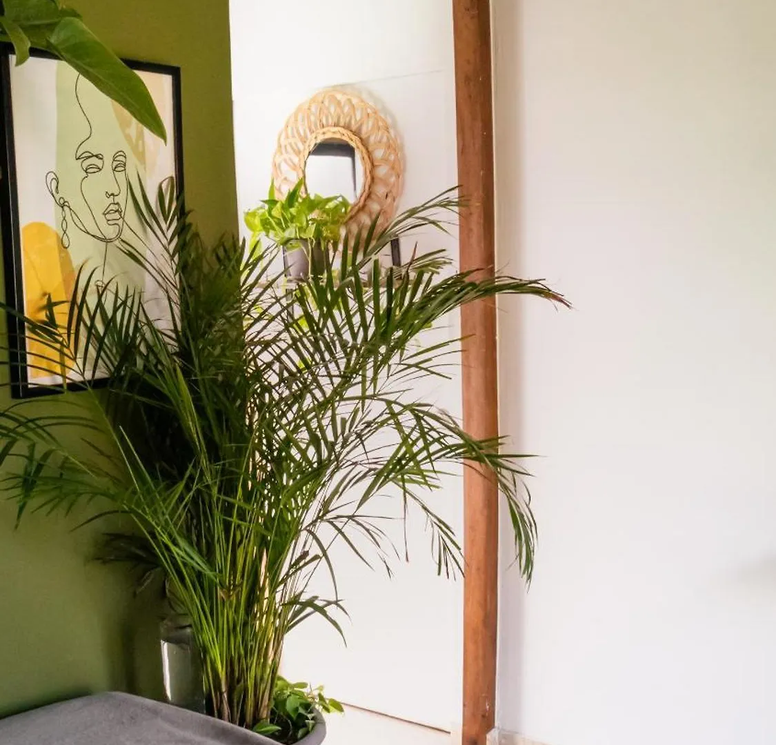 San Andrés Apartamentos Turisticos - Boho Sai דירה San Andrés