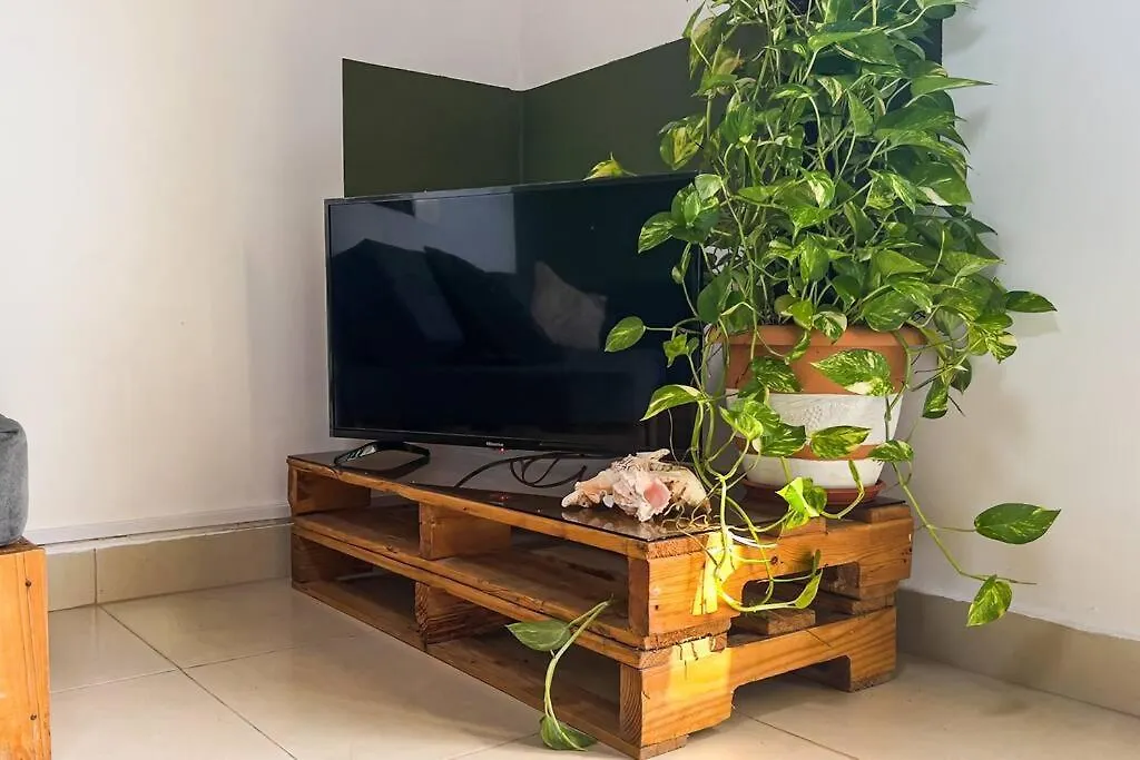 San Andrés Apartamentos Turisticos - Boho Sai