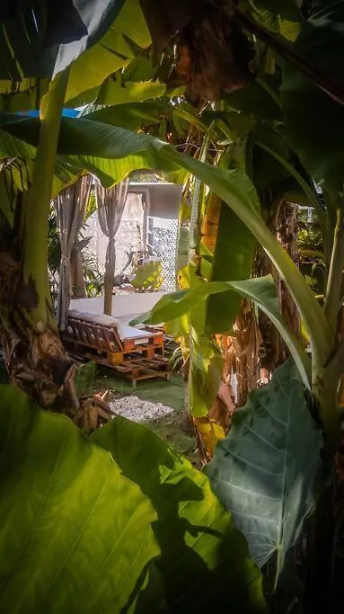 דירה San Andrés Apartamentos Turisticos - Boho Sai קולומביה
